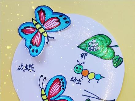 化茧成蝶,蝴蝶的一生#简笔画 #画画