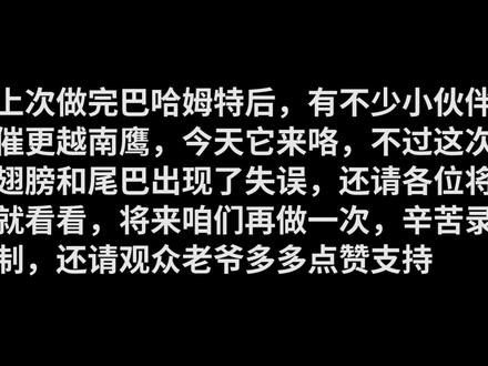 折纸教程;霸气的老鹰