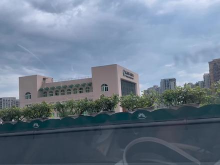 为什么认真工作的人反而会先离职呢 还不是积极认真的完成工作不被认可 得不到应有的回报 #打工人 #职场 #扎心现实 #人际交往 #职场那些事