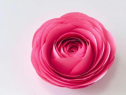 你们要的纸杯玫瑰花🌹教程来咯
快来交作业啦💪