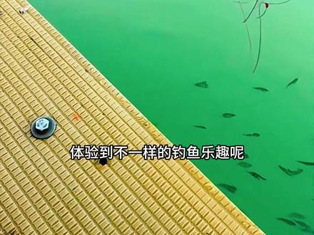 奇妙的瓶子钓鱼法 #户外捕鱼