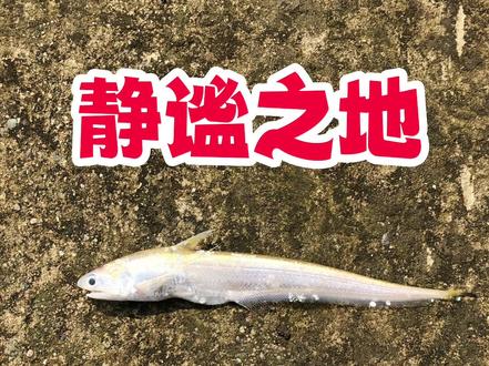 一个很适合#路亚 的地方,一定要仔细查看我视频最后的导航截图后再前往。友情提醒:我只是#分享钓点 不是开#鱼塘 的。没收您一分钱,不负责你们都能获得鱼获。钓鱼仁者见仁,智者见智!#钓点共享 #嘉定路亚标点 #嘉定路亚野钓 #钓位分享 #钓点故事#钓鱼人的快乐 #路亚钓位 #户外钓鱼 #钓鱼人就是这么疯狂 #野外钓鱼 #钓鱼人的快乐 #抖音垂钓季 #户外 #原创#真实户外 #大水面钓大鱼 #抖音钓鱼人 #户外钓鱼 #野钓#钓点分享 #免费钓点 #免费钓鱼 #嘉定钓鱼好地方