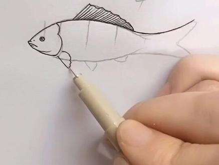 教你画条小鱼@抖音小助手 。简单易懂。#日常教画