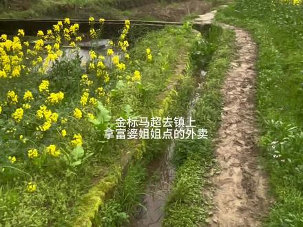 金标马超去镇上拿瑶妹点的外卖 #瓜子二手车 #马超 #瑶