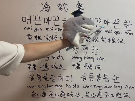 《海豹舞》韩语歌词 #韩语