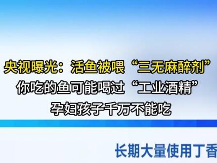 #真实事件 #热点话题 #社会百态#活鱼 活鱼被喂“三无麻醉剂”