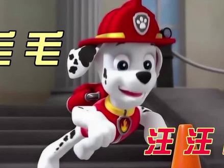 宝贝们,我们一起来学画汪汪队毛毛。@宝贝学画画 #简笔画 #趣味简笔画 #汪汪队 #汪汪队毛毛 #少儿