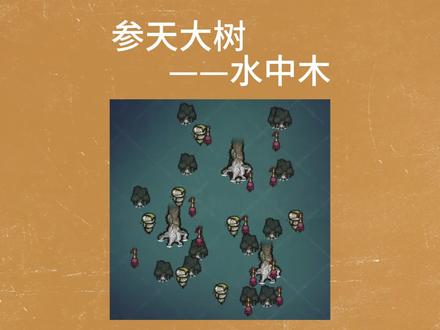参天巨树——水中木 #饥荒联机版 #饥荒 #饥荒攻略
