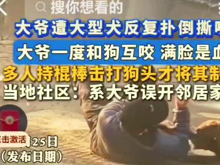 请拴好自己家的狗绳,