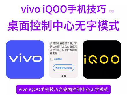 #vivo #iQOO 手机技巧之「桌面控制中心无字模式」#OriginOS
