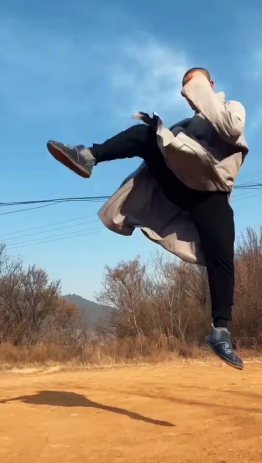 释延歆简介_少林武僧释延歆原名