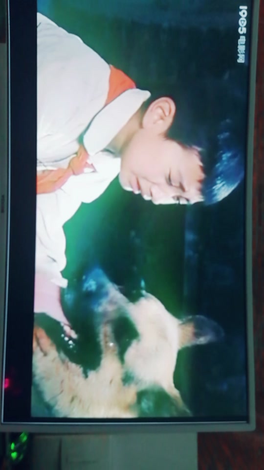 狼犬历险记2_狼犬历险记演员表全部
