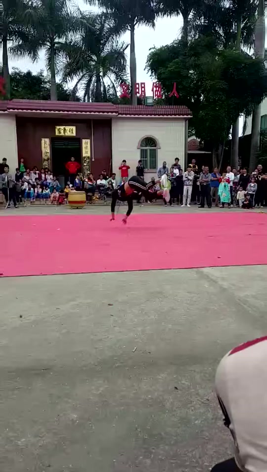 文车醒狮团长杨敖怎么了 - 抖音