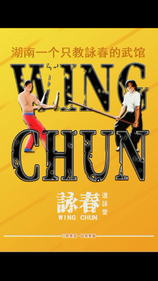 叶问咏春传承手抄报