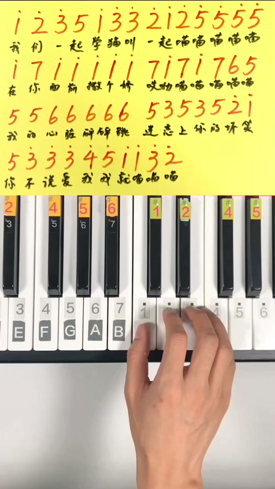 我们一起学猫叫简谱，学猫叫口风琴简谱