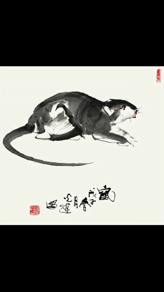 老梁讲解十二生肖运势(老梁谈十二属相)