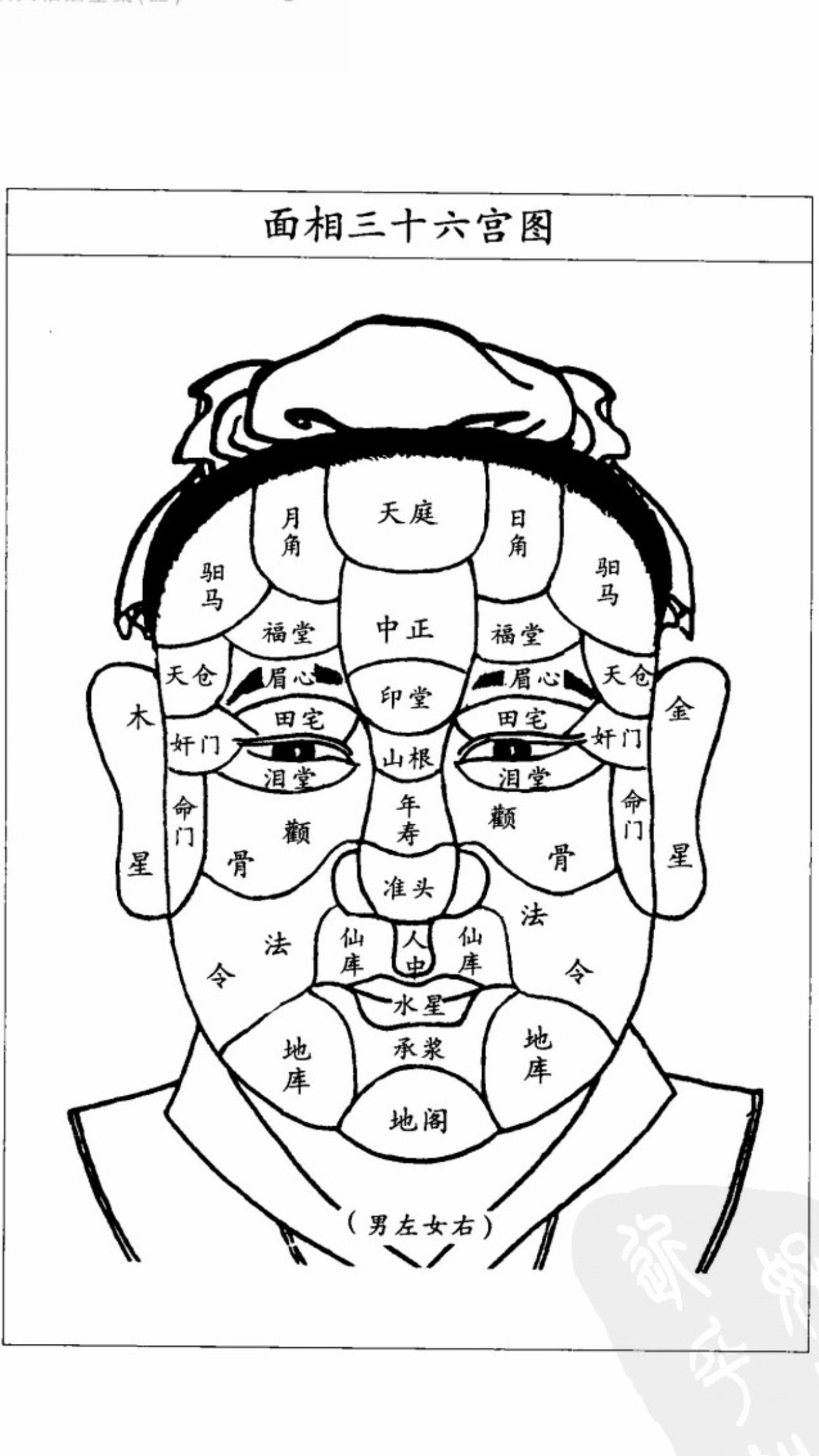 温州这位医生很让人可惜……#面相给你的第一感觉  #手相面相 #相由心