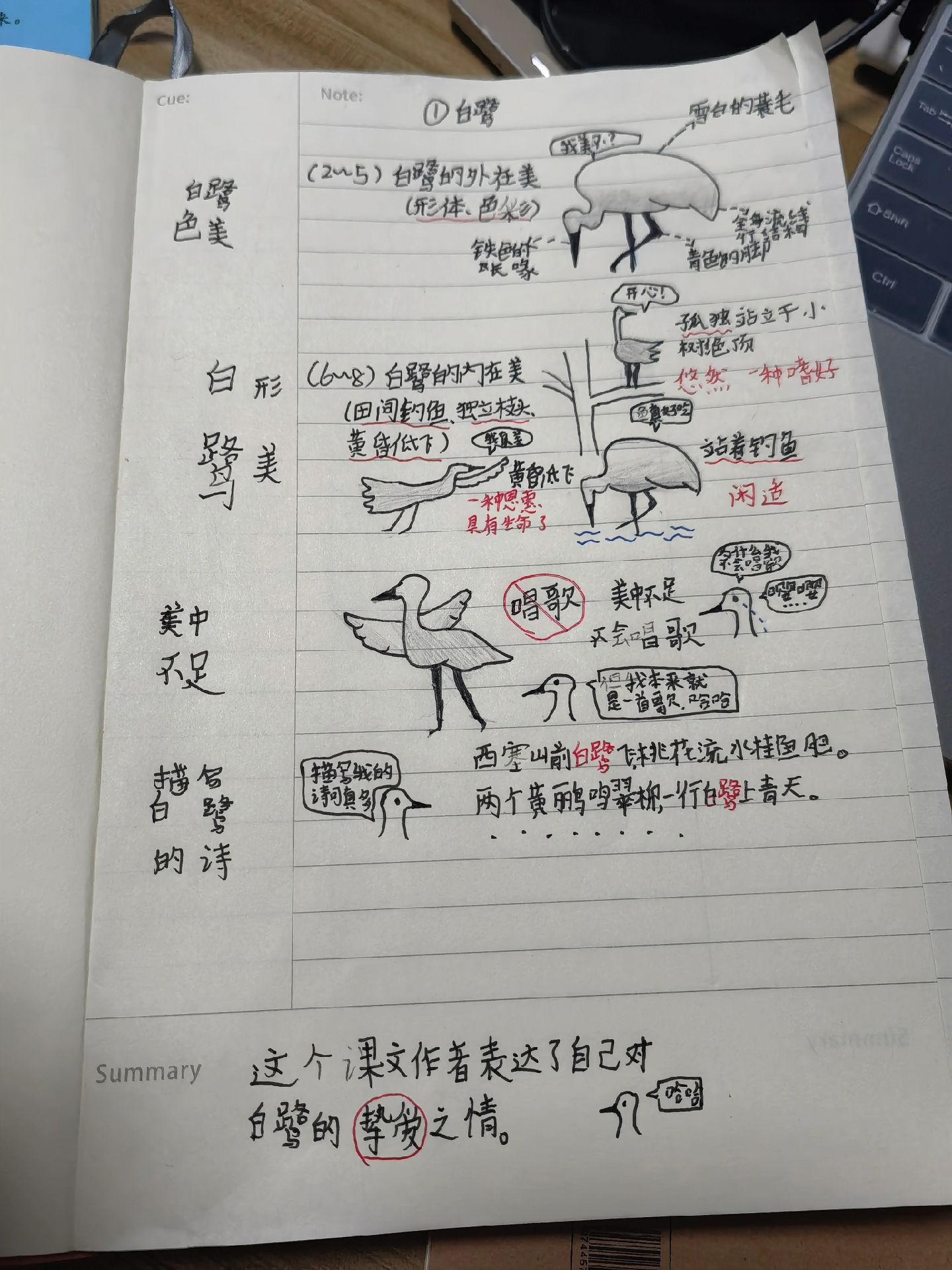 新高一课堂笔记技巧（康奈尔法）的简单介绍