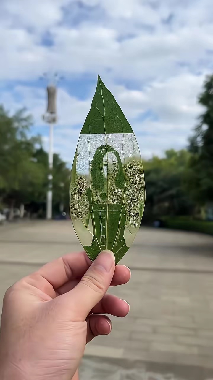 叶雕者:每年的这个时候,是专属颖火虫的浪漫,祝最爱的颖宝生日快乐!