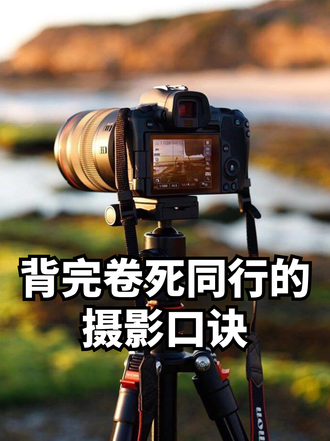 摄影拍摄教程在线，技巧大全