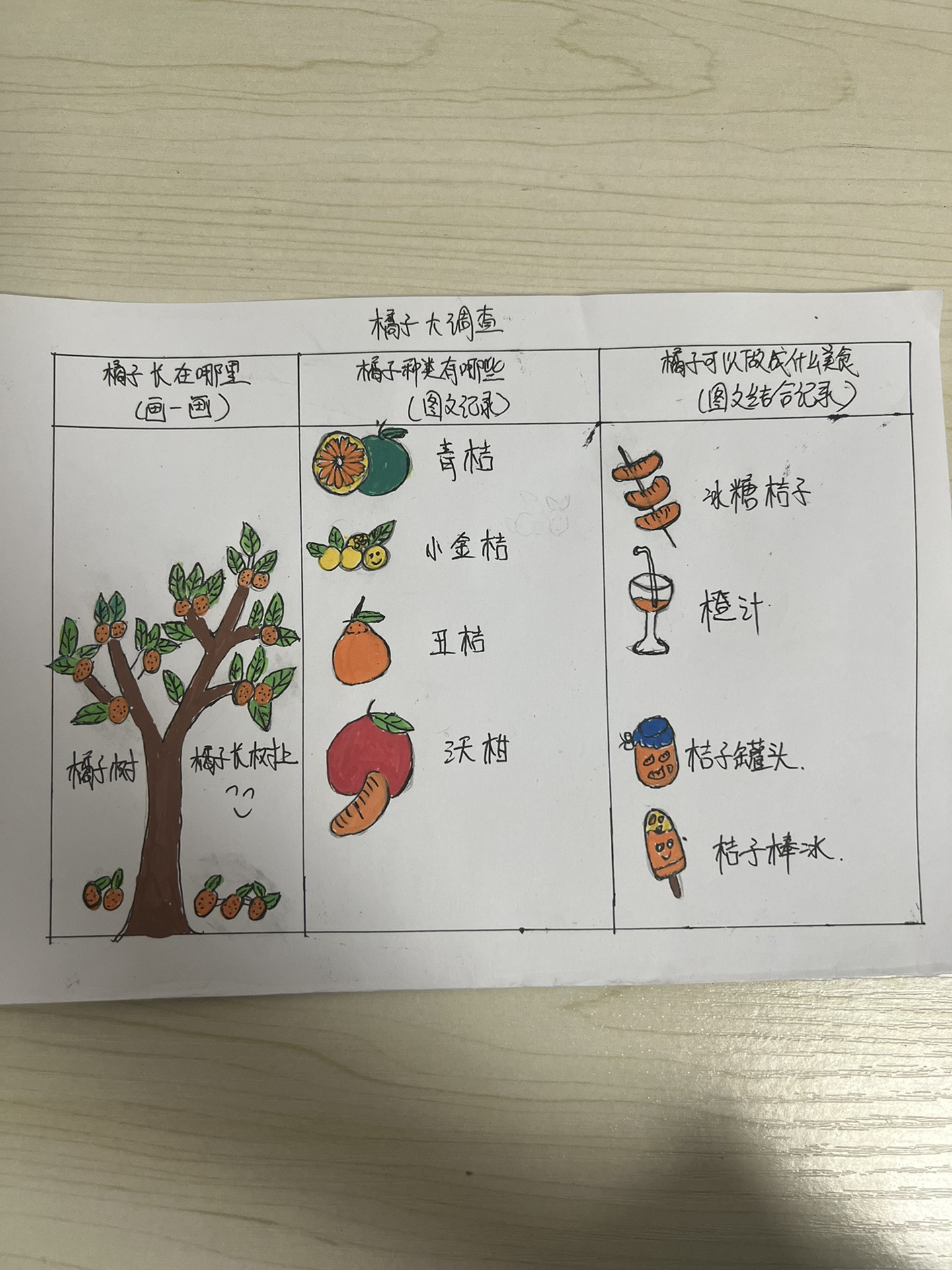 橘子大调查幼儿作业