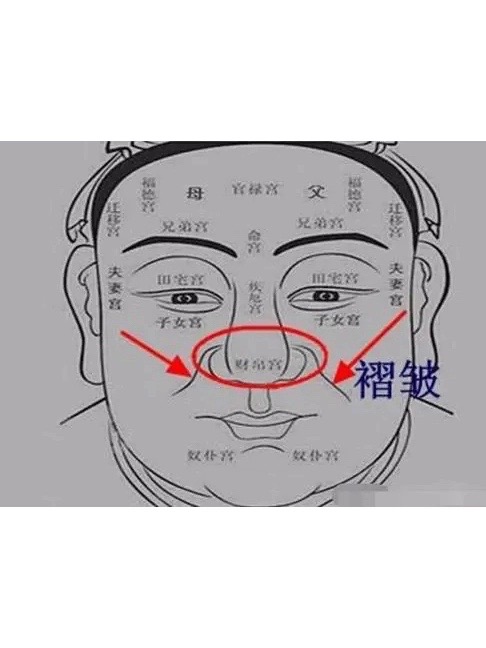 99鼻子是面部五官之一,也是面相学重要部位,与人的财运和自我相关
