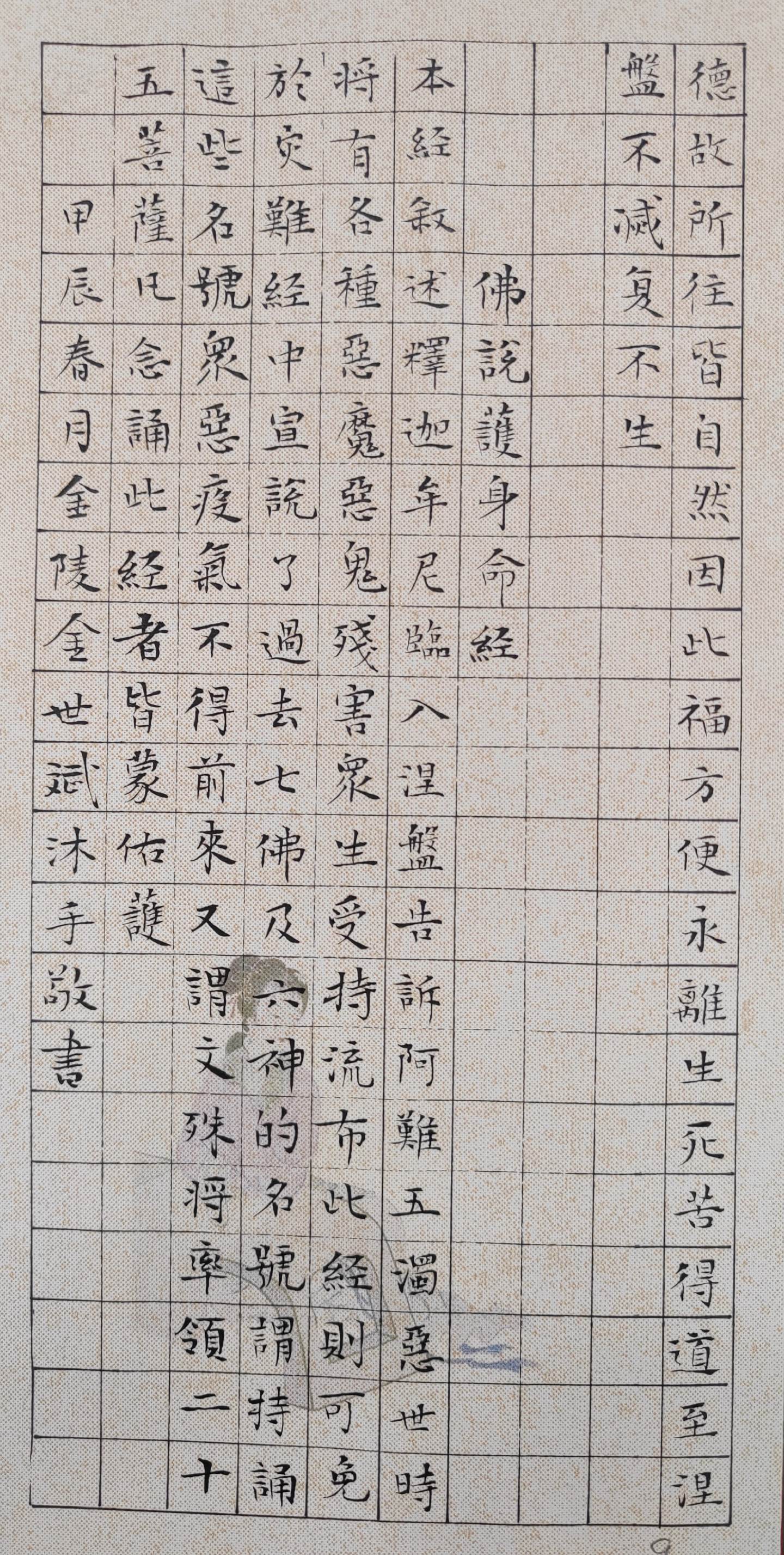 双栖蝶:佛说护身救命经 尔时佛在娑罗双树间临般涅槃时.