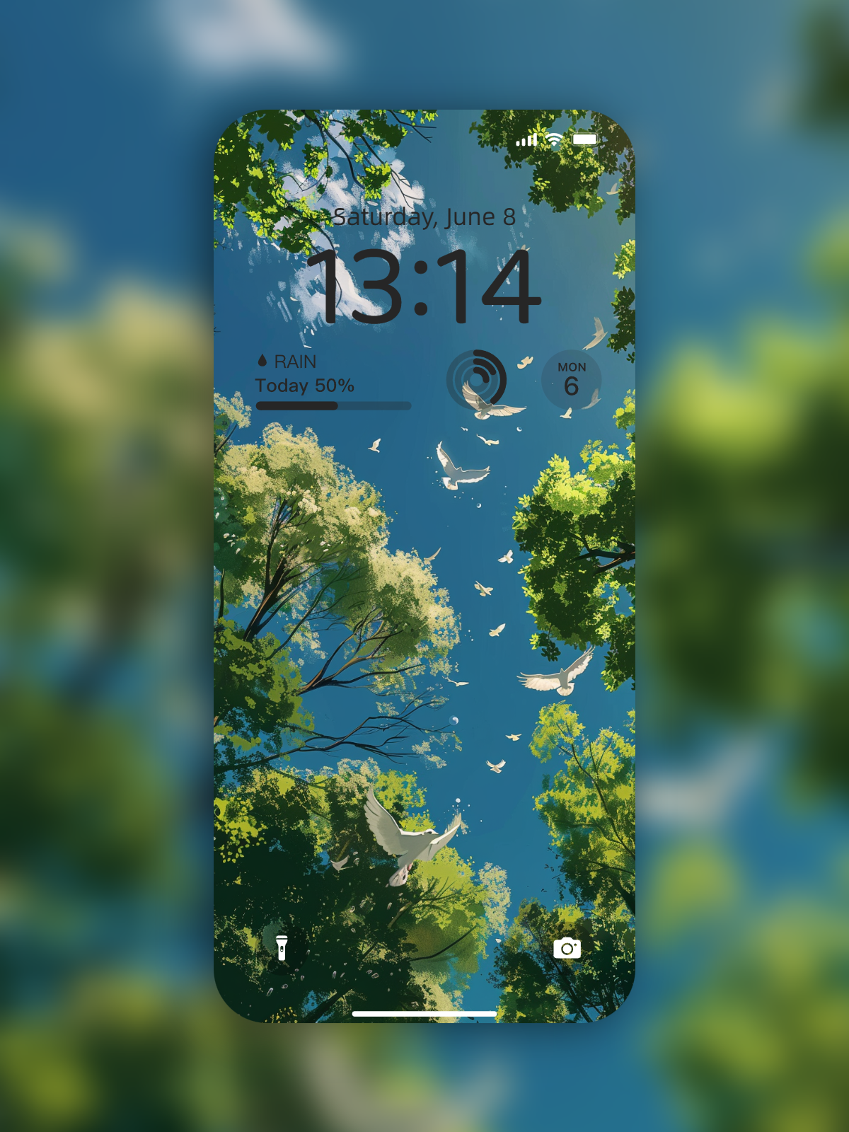 荣耀v3飞鸟壁纸