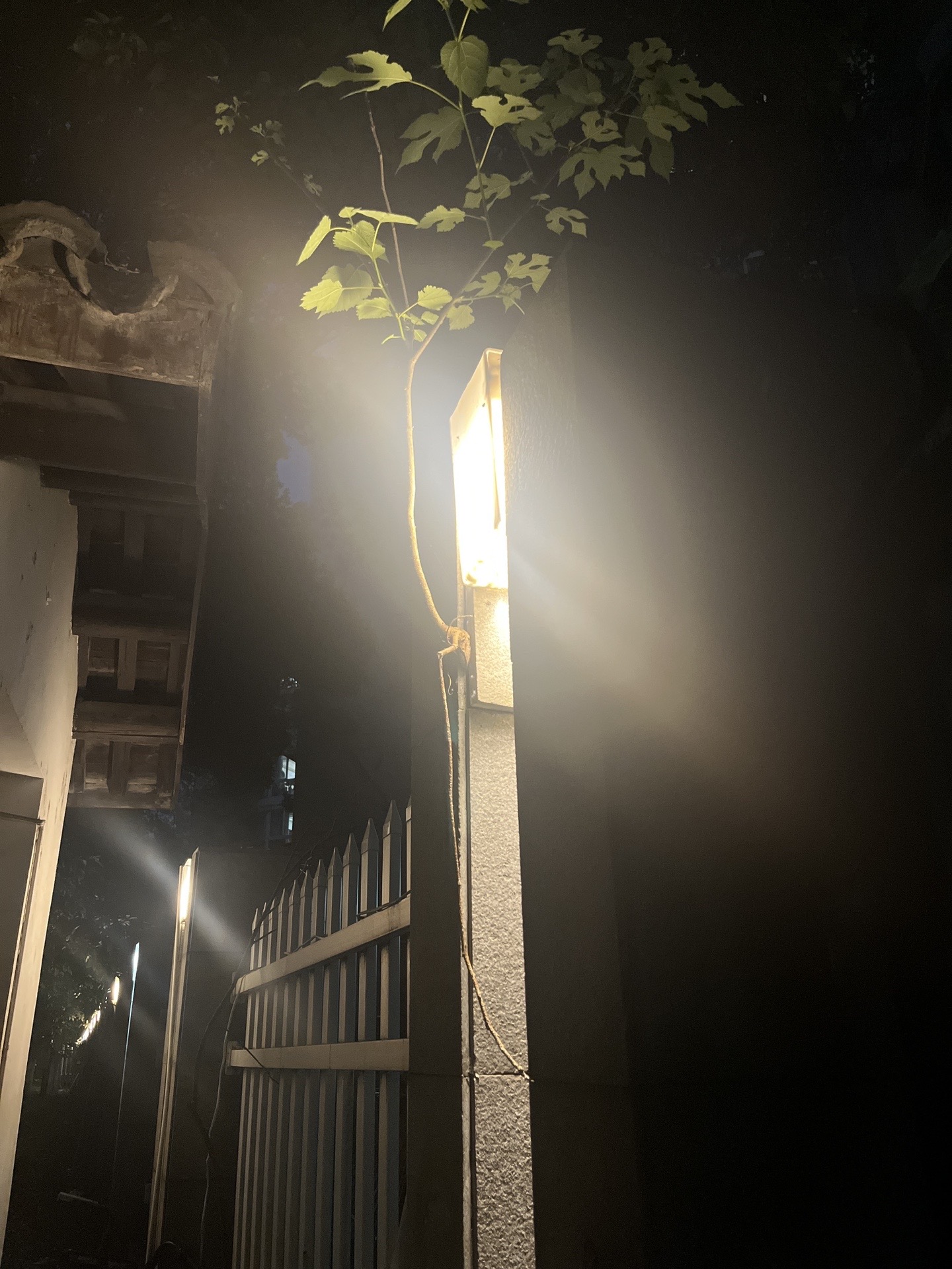 抖音锁屏路灯=抖音灯灭了怎么办