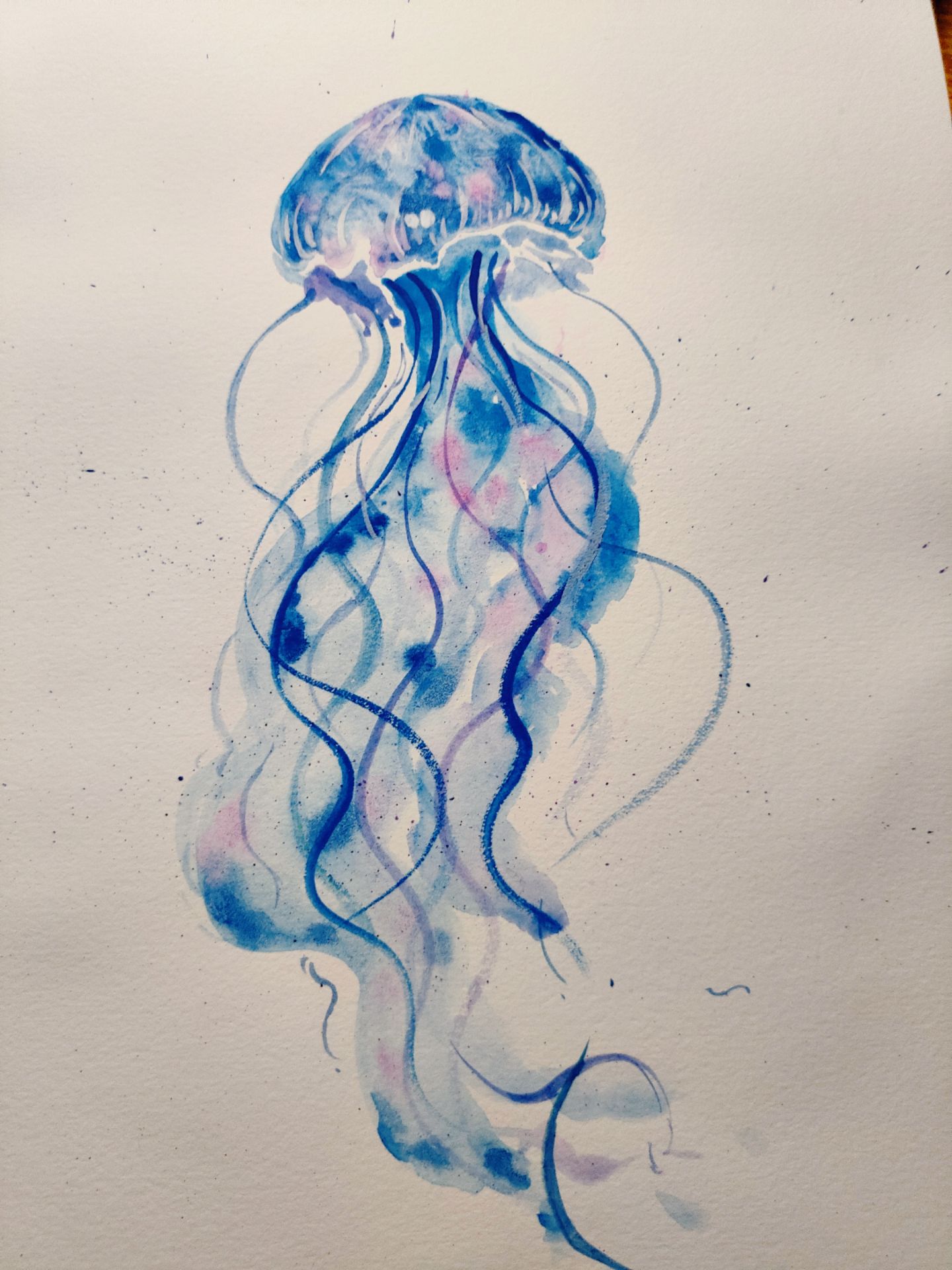 长久的爱情:灯塔水母,也叫永生水母,其生命周期可以从水螅体无性繁殖