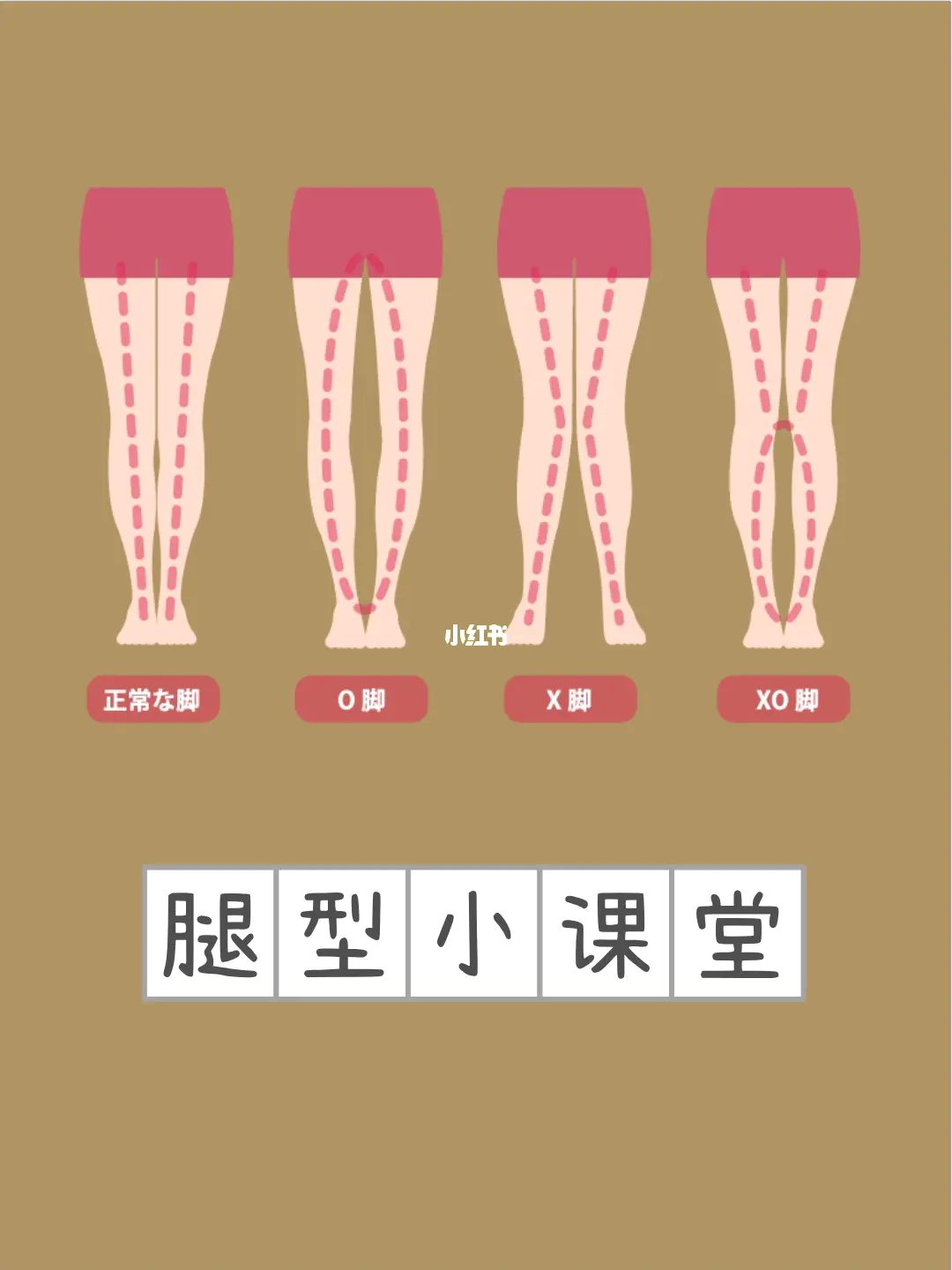 你是哪种类型的腿型05?