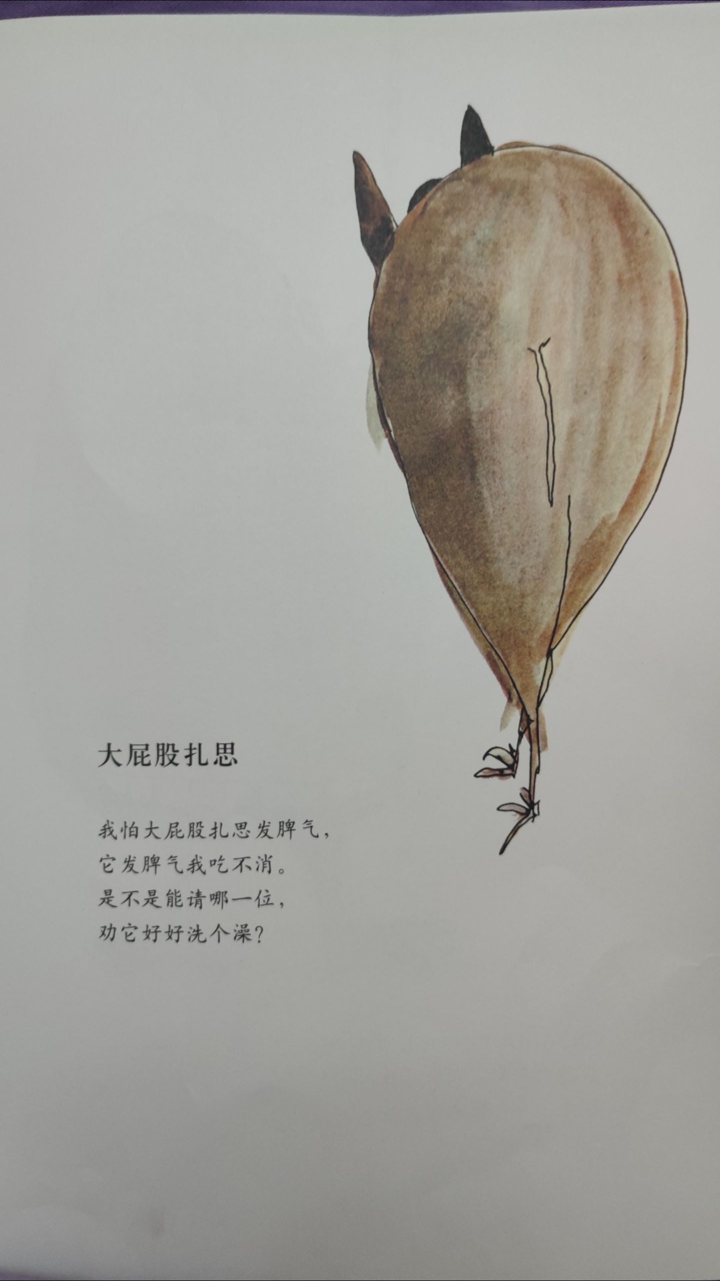 布谷鸟的生活美学