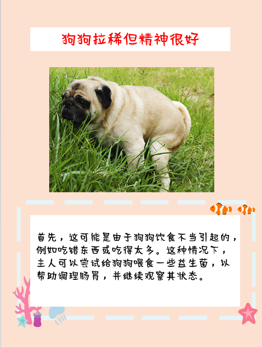 萌宠生活馆i:狗狗拉稀像泥浆臭但精神很好.