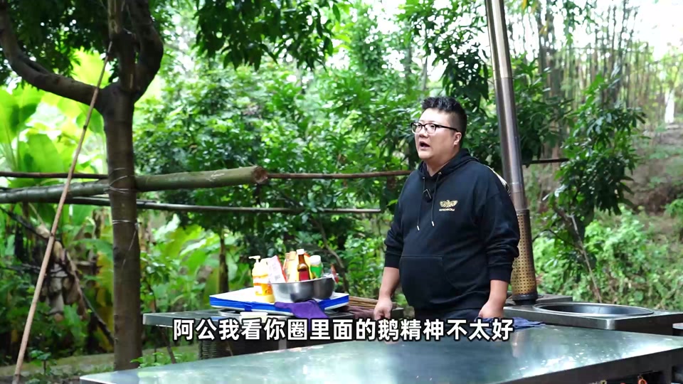 阿公的菜怎么不更新了