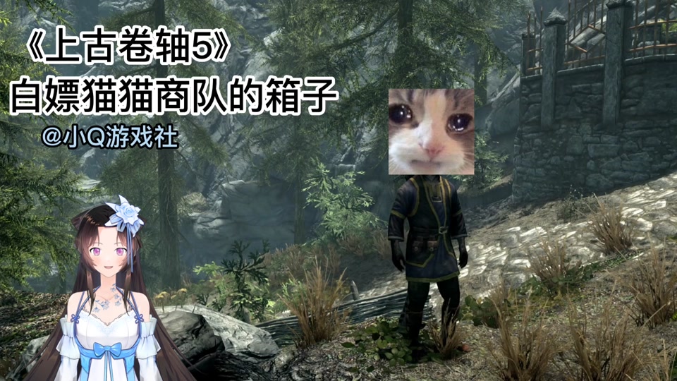 上古卷轴5拉里斯在哪招募 - 抖音