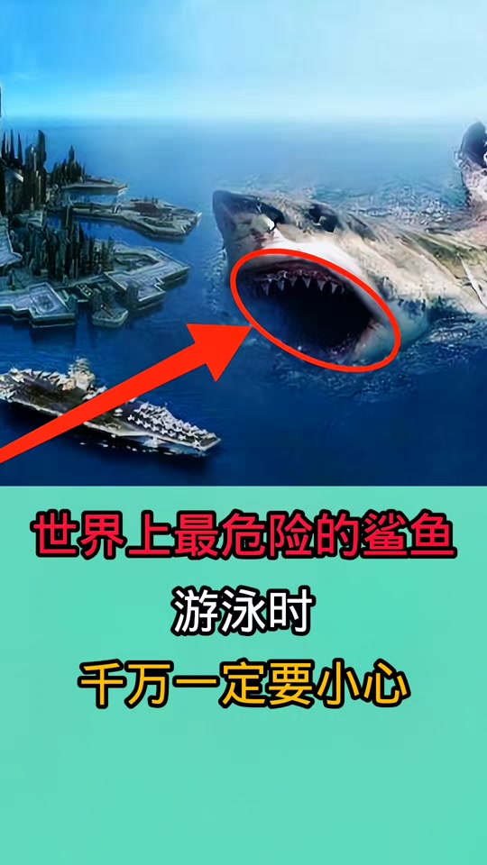 火鲨vs毒鲨vs巨齿鲨_火鲨vs毒鲨vs巨齿鲨谁赢了_鲨鱼vs巨齿鲨 - 抖音