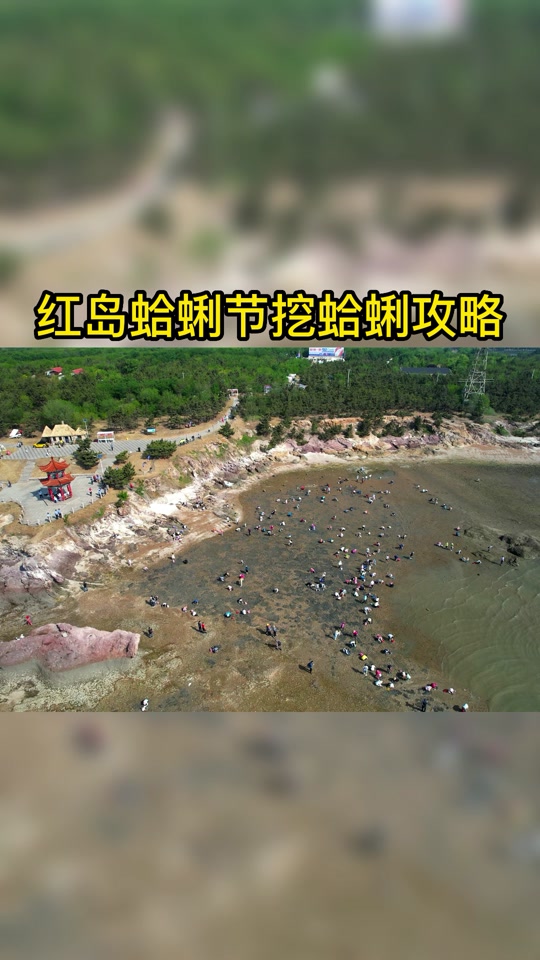 青岛红岛28-30天有什么活动 - 抖音