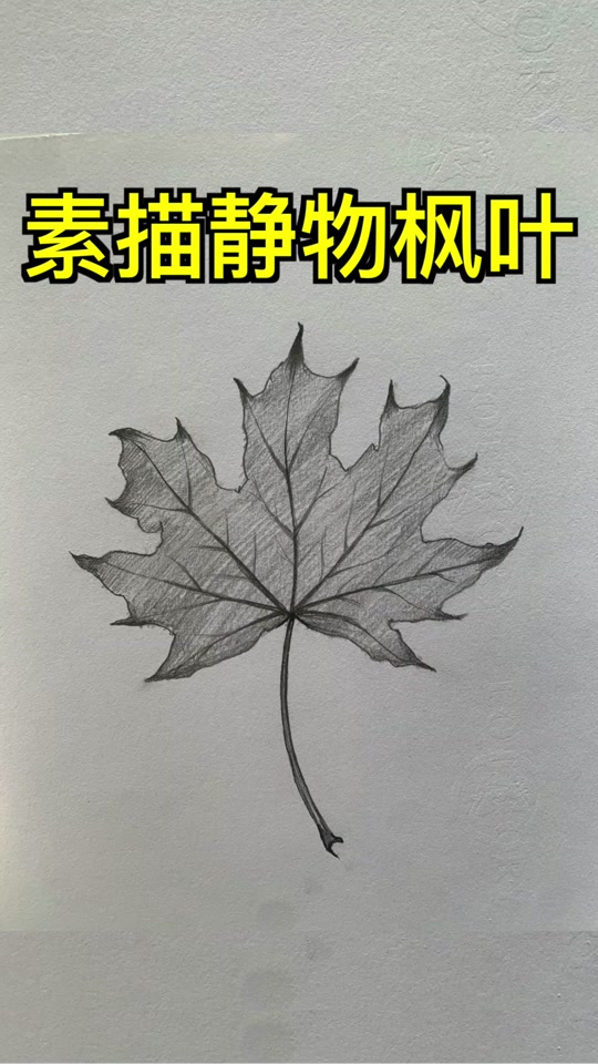 叶子素描画法