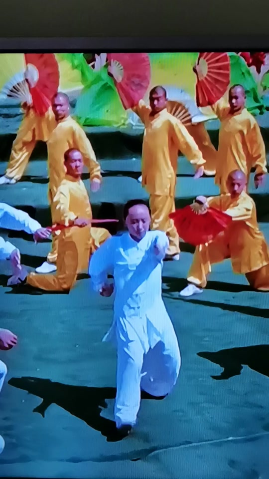 少林四小龙完整电影_少林四小龙眉雪扮演者