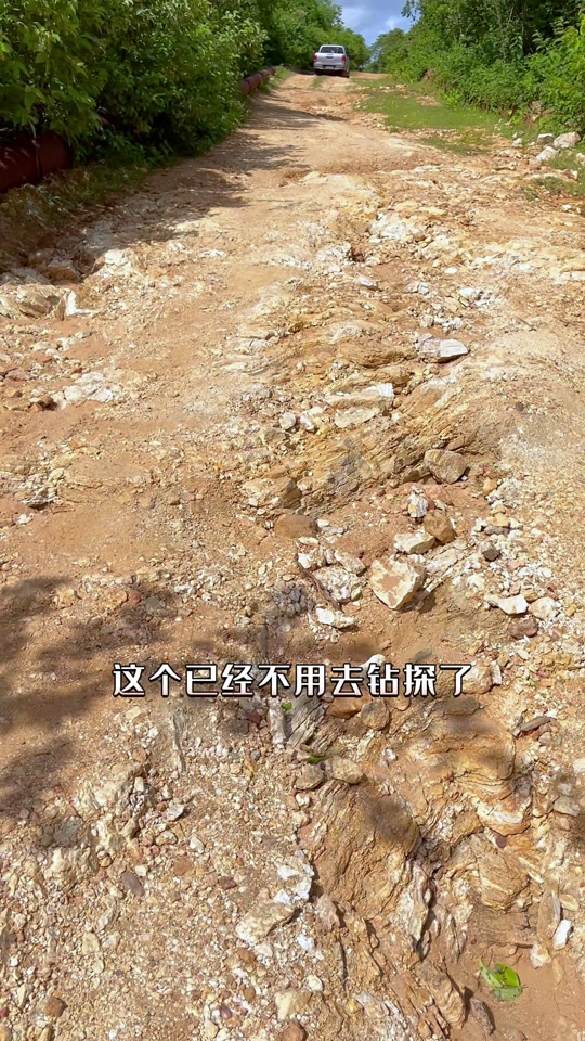 抖音家里有矿=抖音家里有矿吗