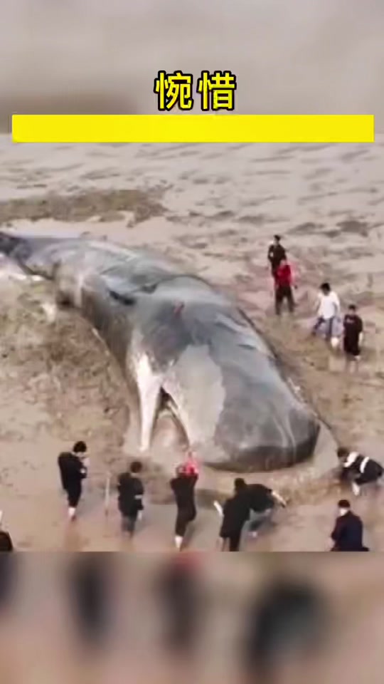 01db6f13ba184037ac51297ec0a10c20_1651320637?x-expires=2000178000&x-signature=NJJoyUXjx1wFuZal70BiqLY5yKo%3D&from=1516005123