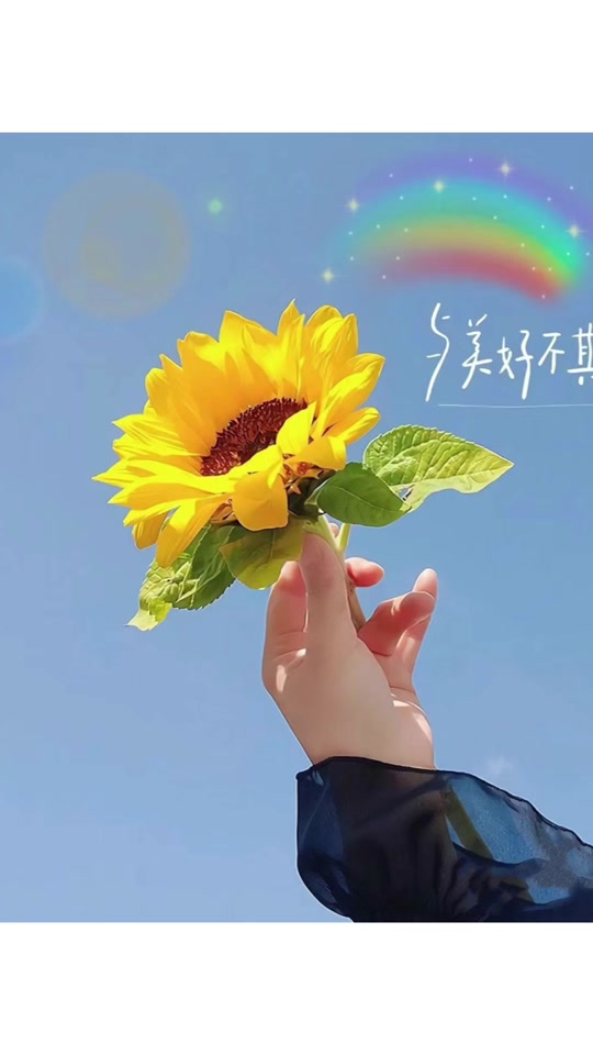 晒太阳的夏天:在一个普通的周五和眼镜说再见,视力恢复出厂设置,从此