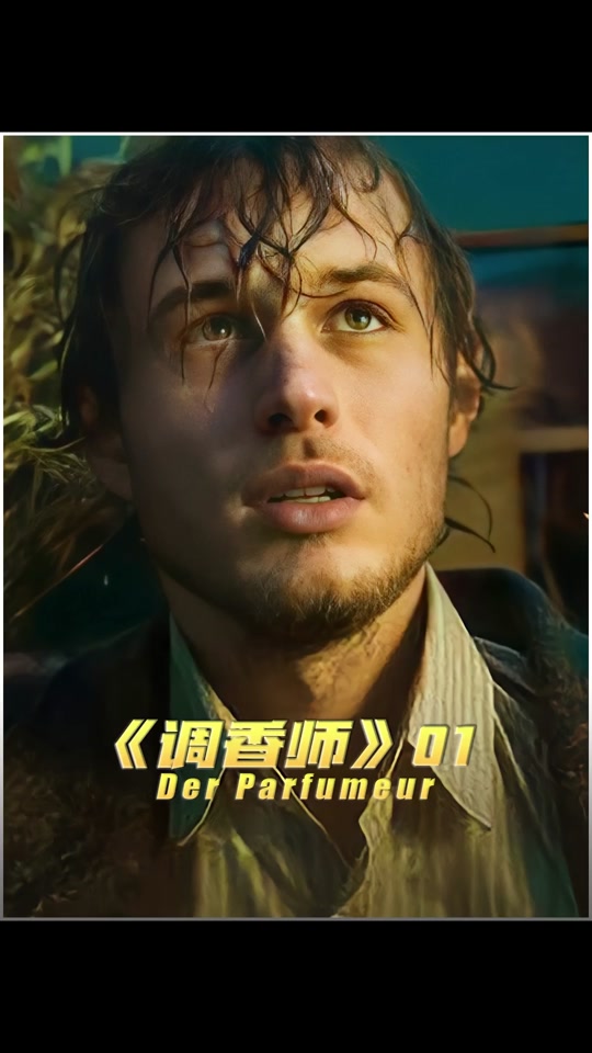 香农特威德哪几部好看