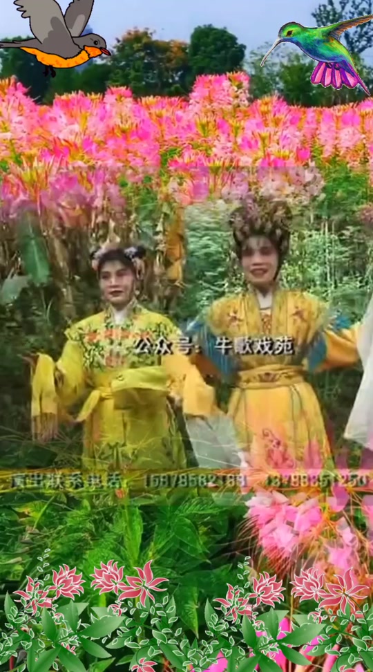 广西藤县牛歌戏李祖林 - 抖音