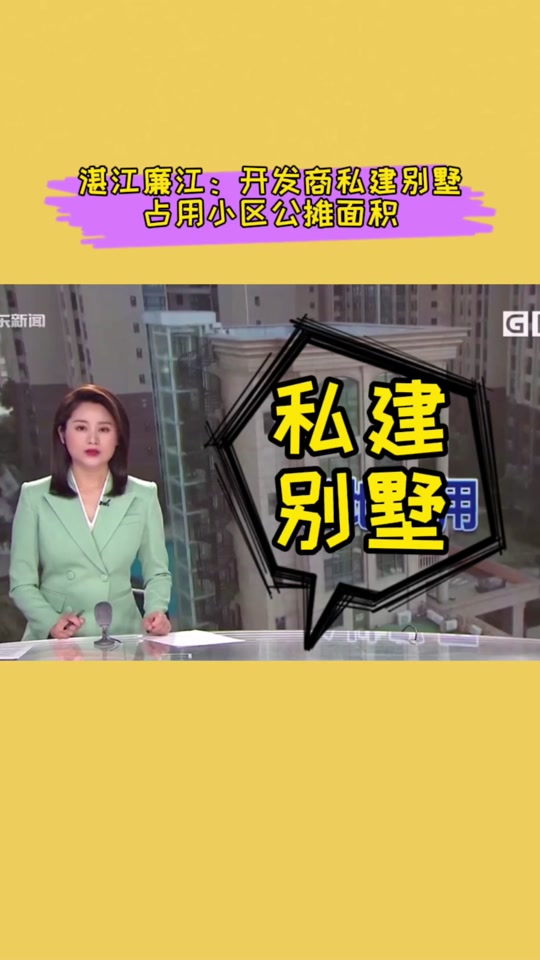 廉江那良村庞春伟别墅拆除