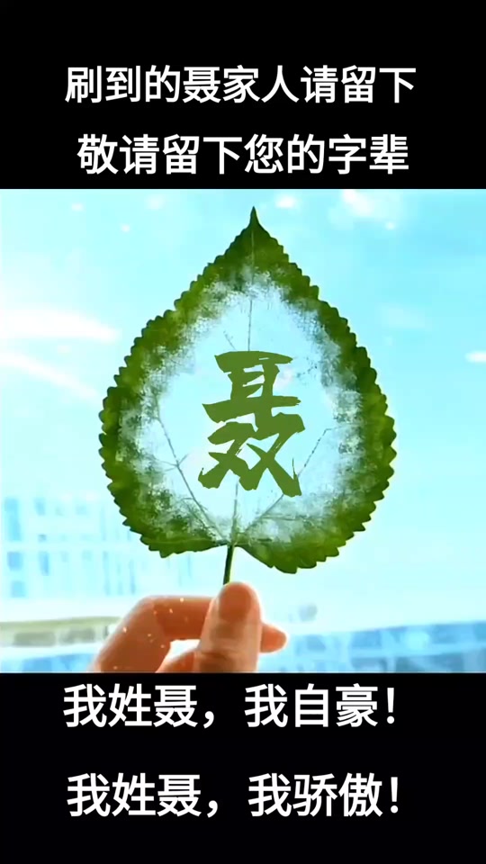 食物姓氏头像聂