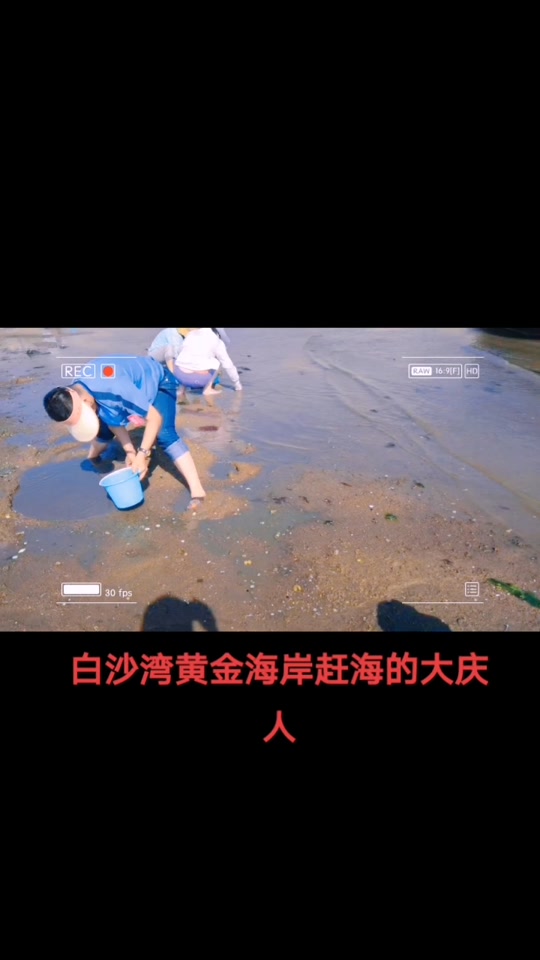大庆赶海是哪个地方_大庆赶海是哪个地方的风俗_大庆赶海是哪个地方的