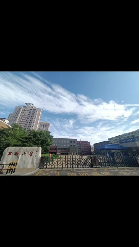 双西小学2024招生要求 - 抖音