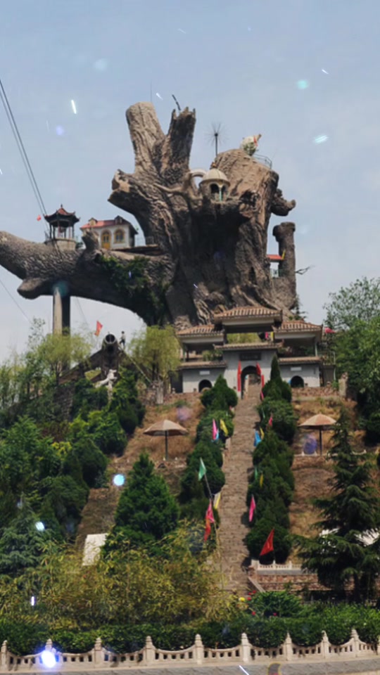 涉县九龙槐原貌