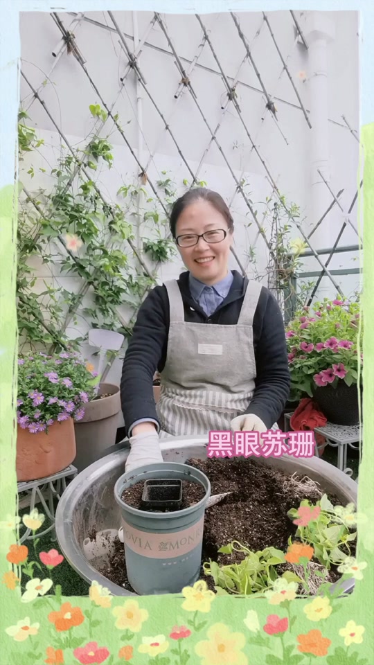 苏珊抖音号=苏珊珊个人资料